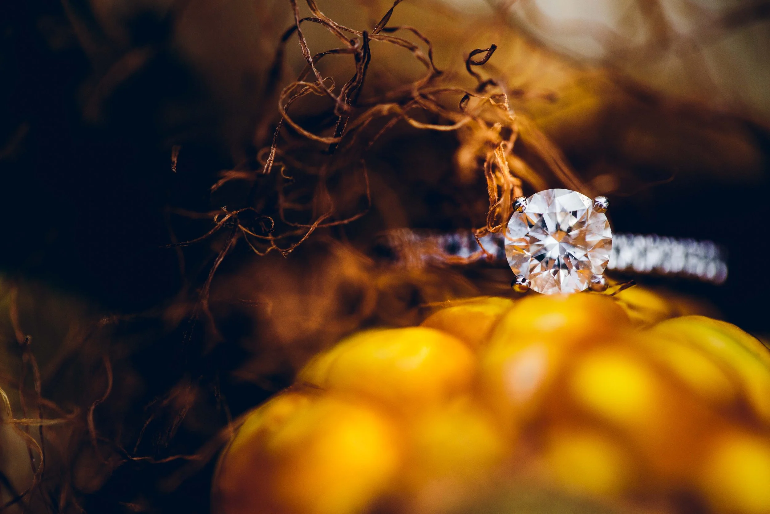 Aaren Lee Photography-1-59.jpg