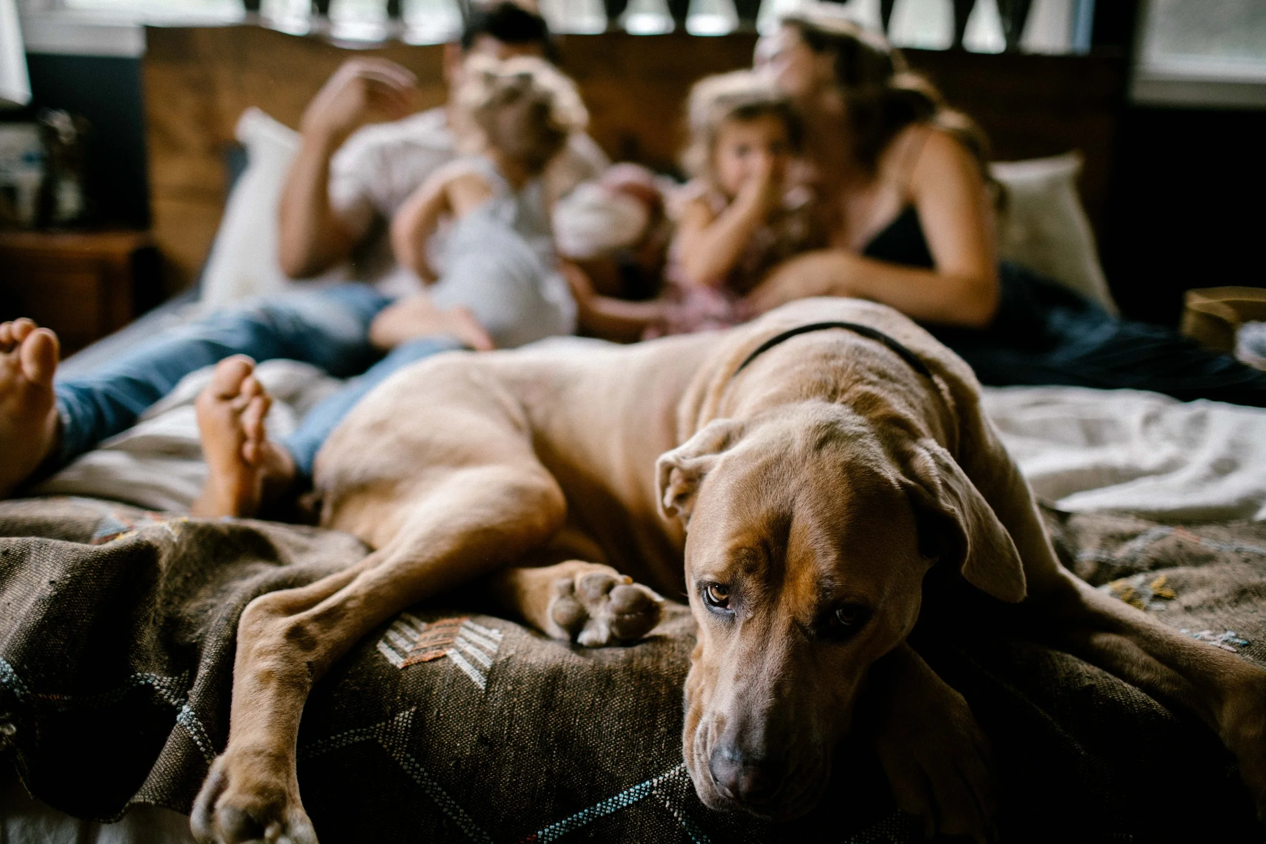 Aaren Lee Photography-10.jpg