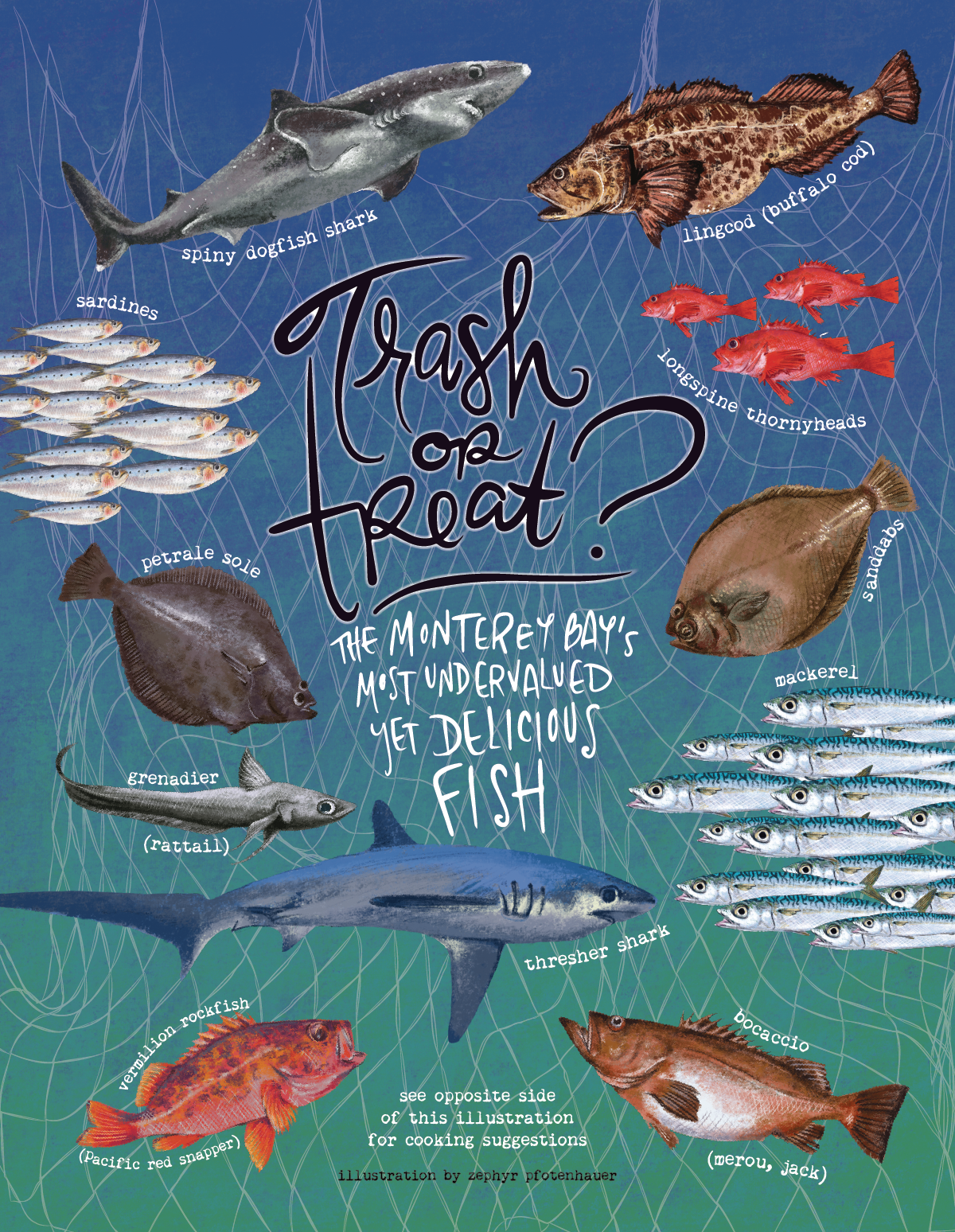 trash fish guide