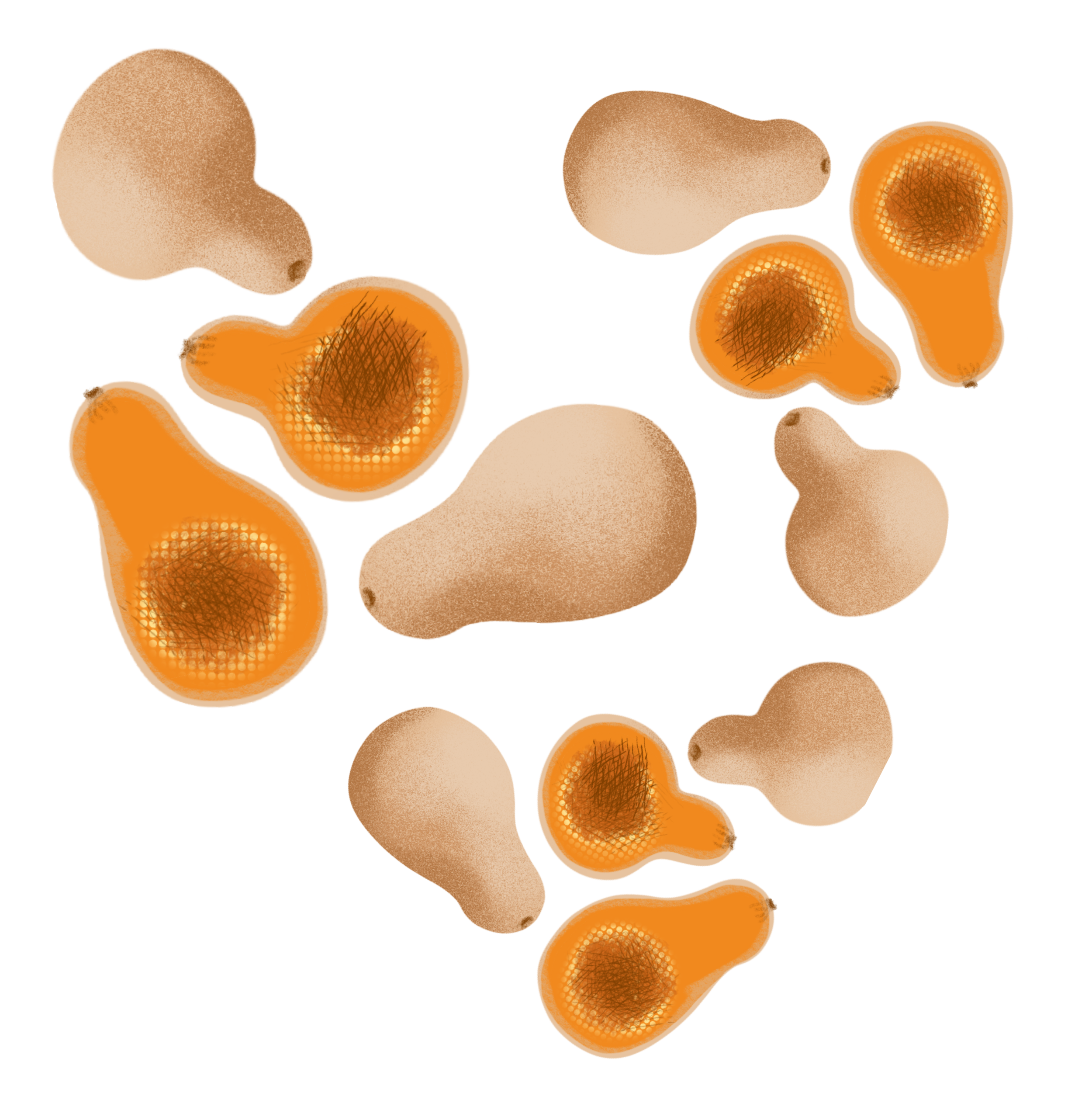 butternuts