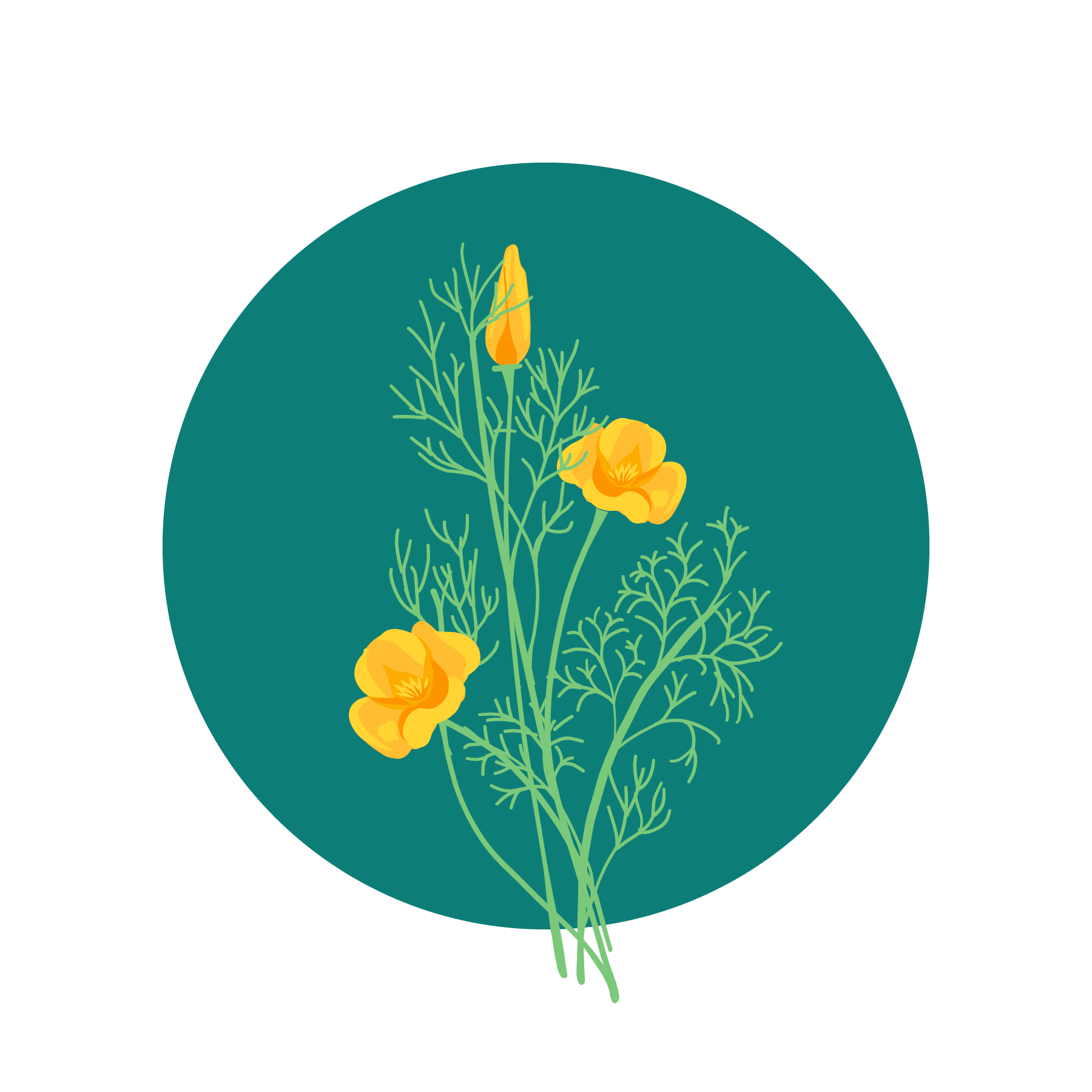 California Poppies