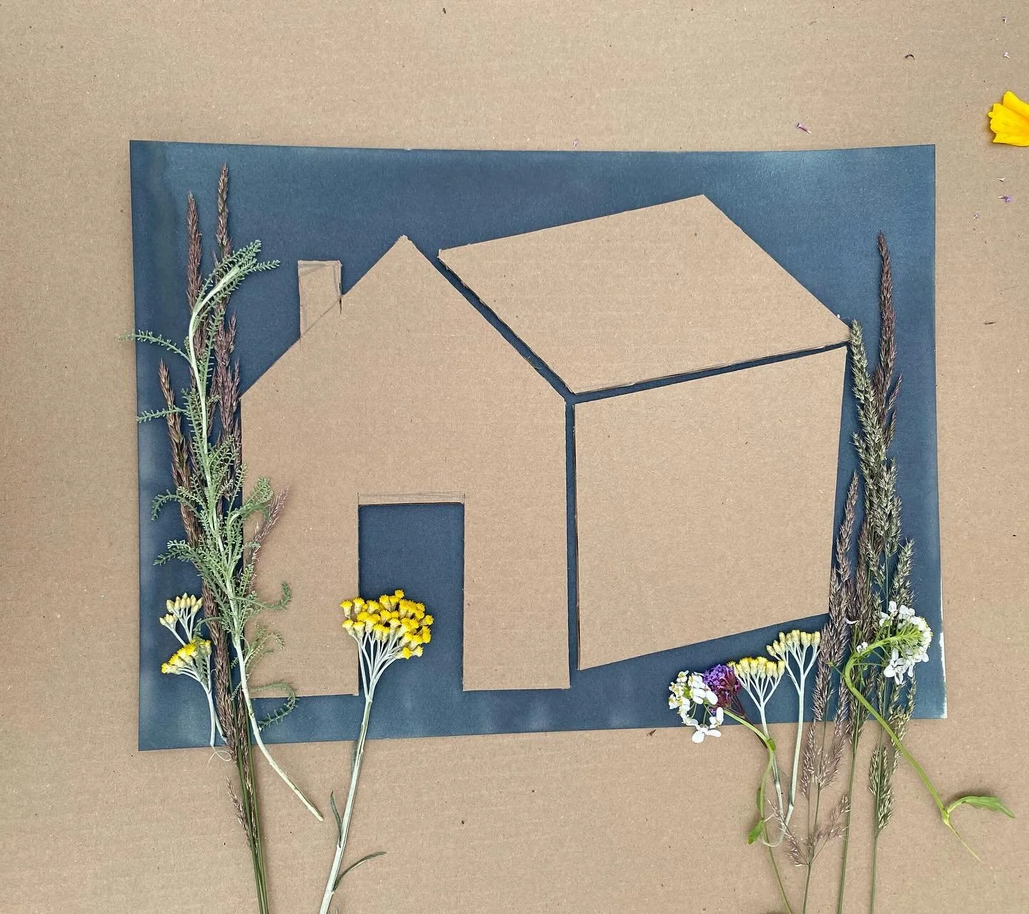 Cyanotype experiments with my work team, facilitated by the fabulous @marleneyuen 💙💙