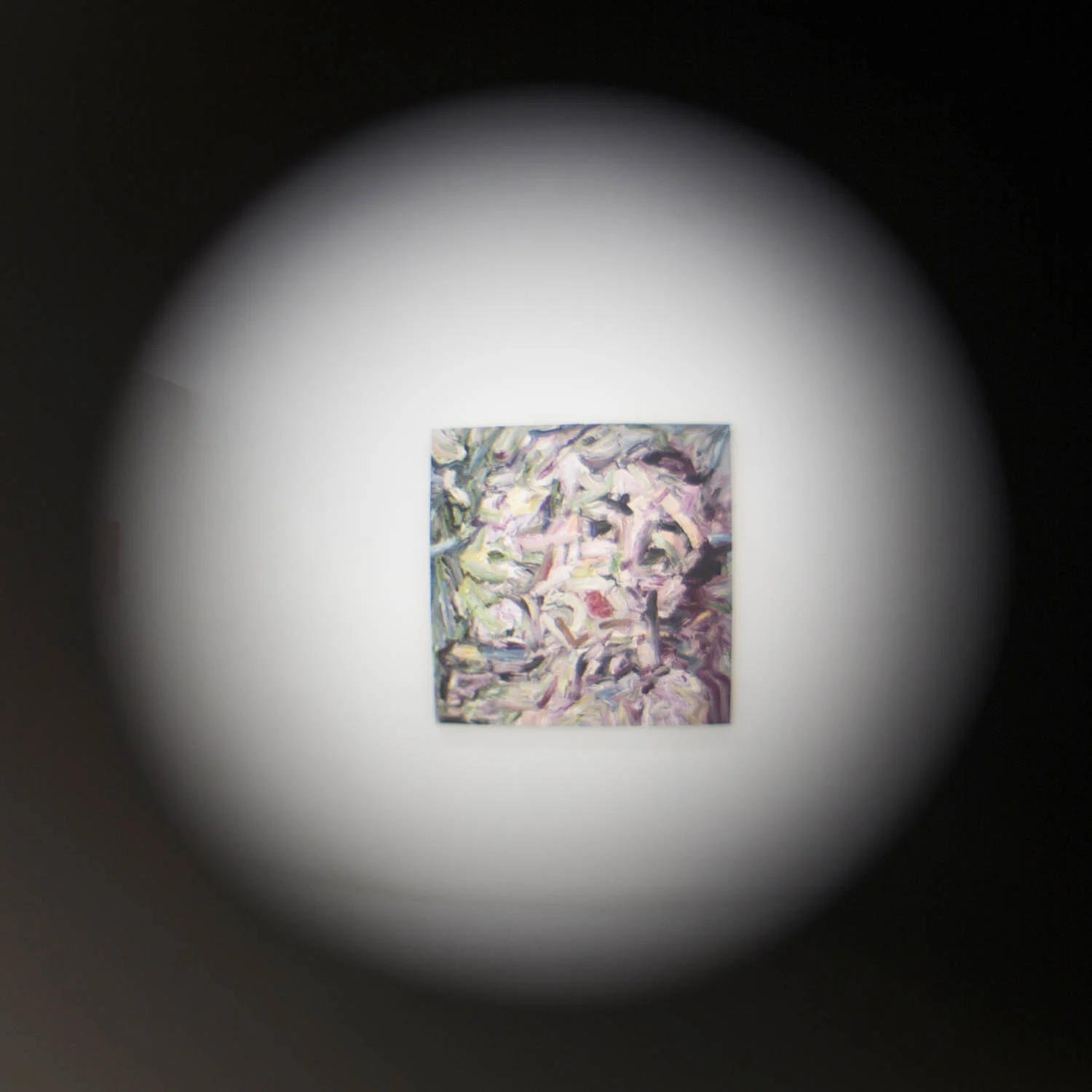 VP Install Night Gaze viewed through peephole.jpg