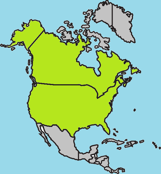 North America.png
