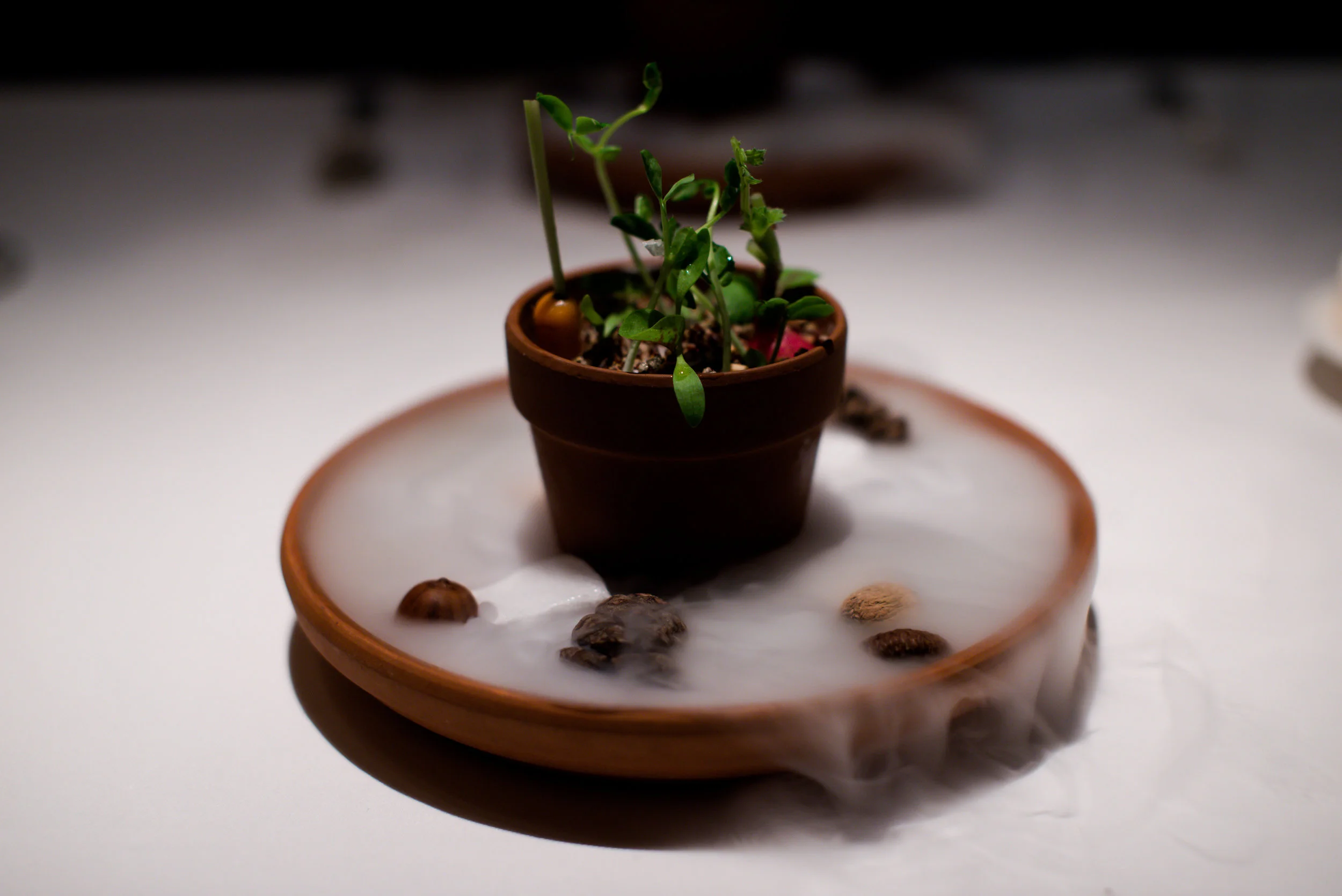 Spice Pot