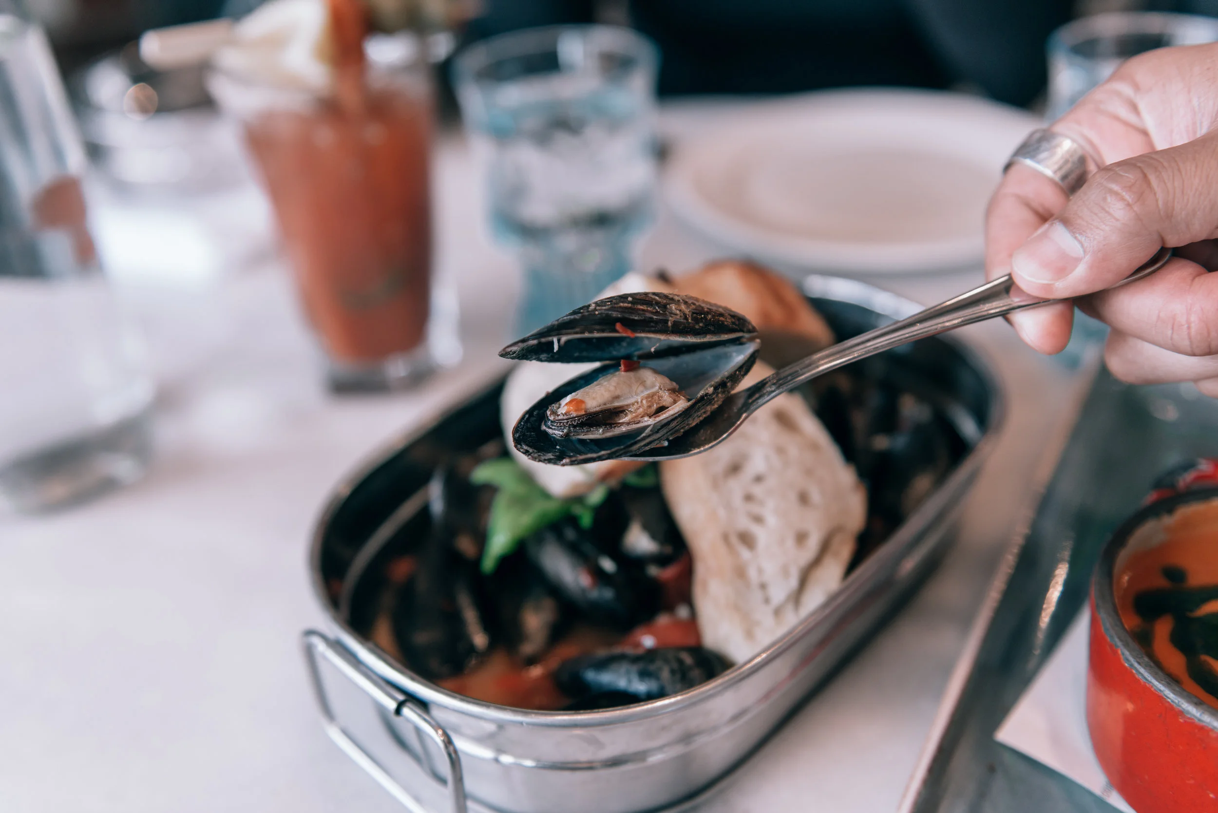 Mussels