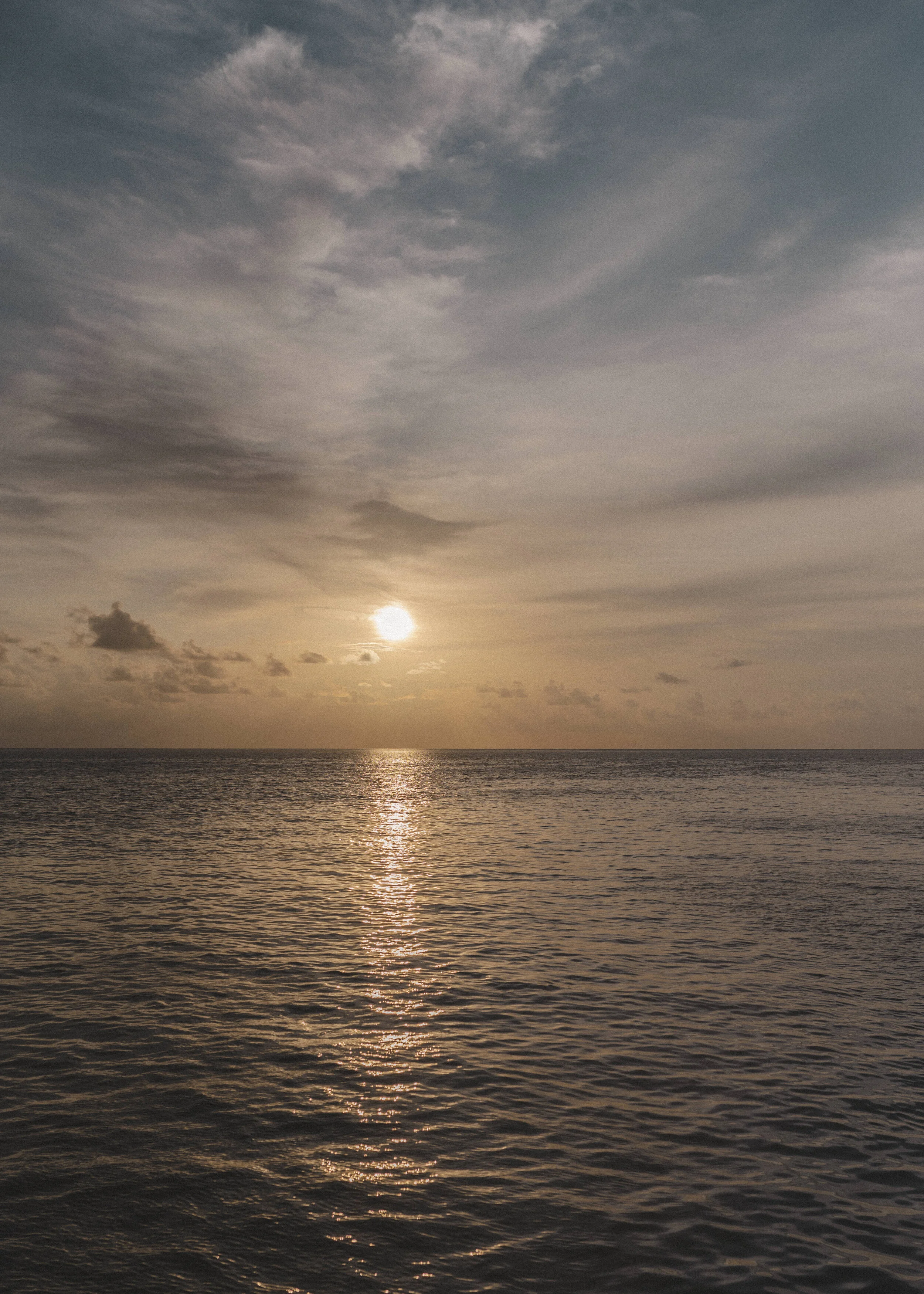 DSC_6493.jpg