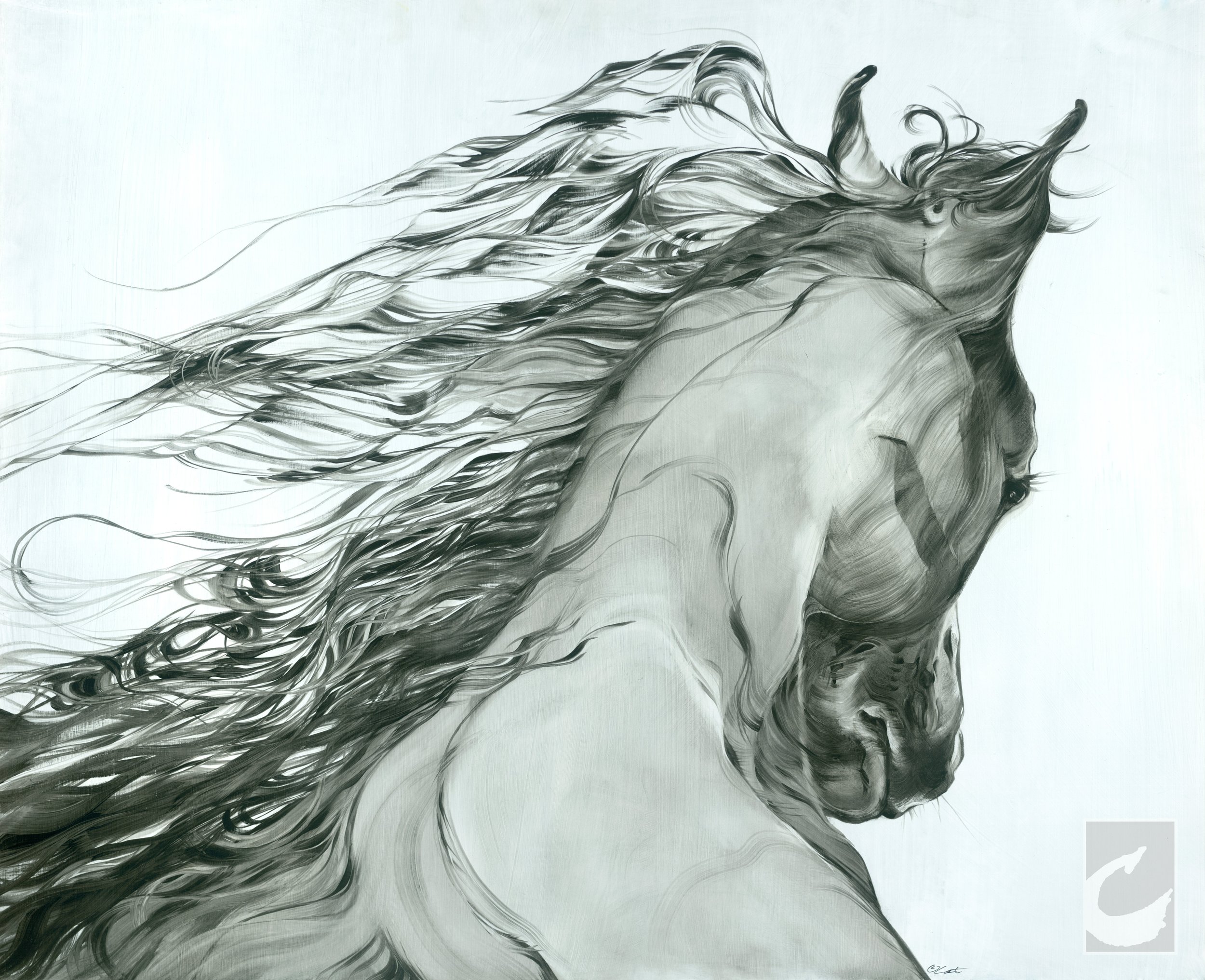 Equestrian Dream