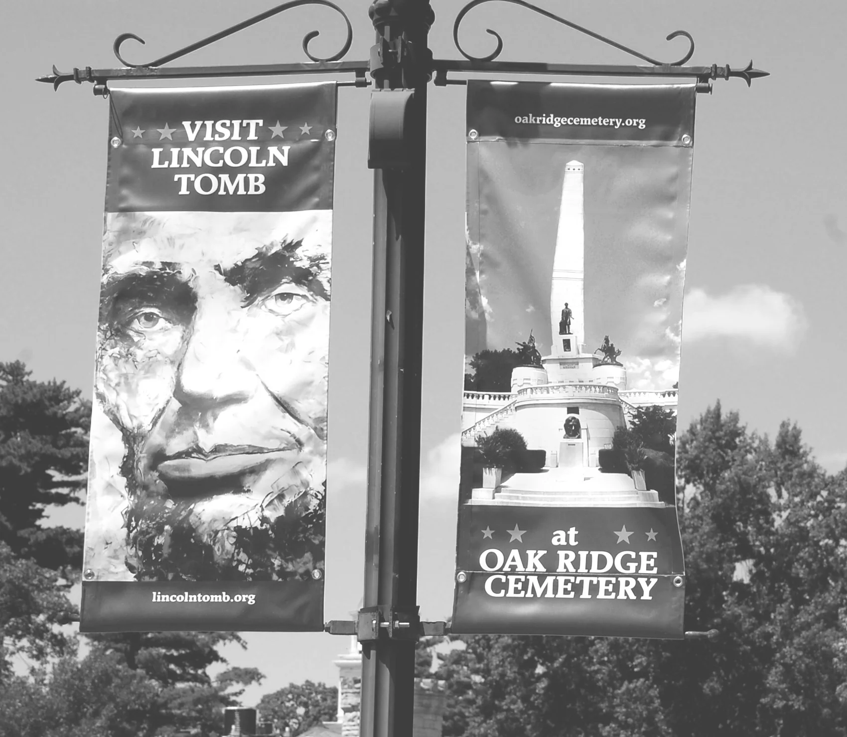 WEB BandW Thumbnail Banners Springfield without me gimped .jpg