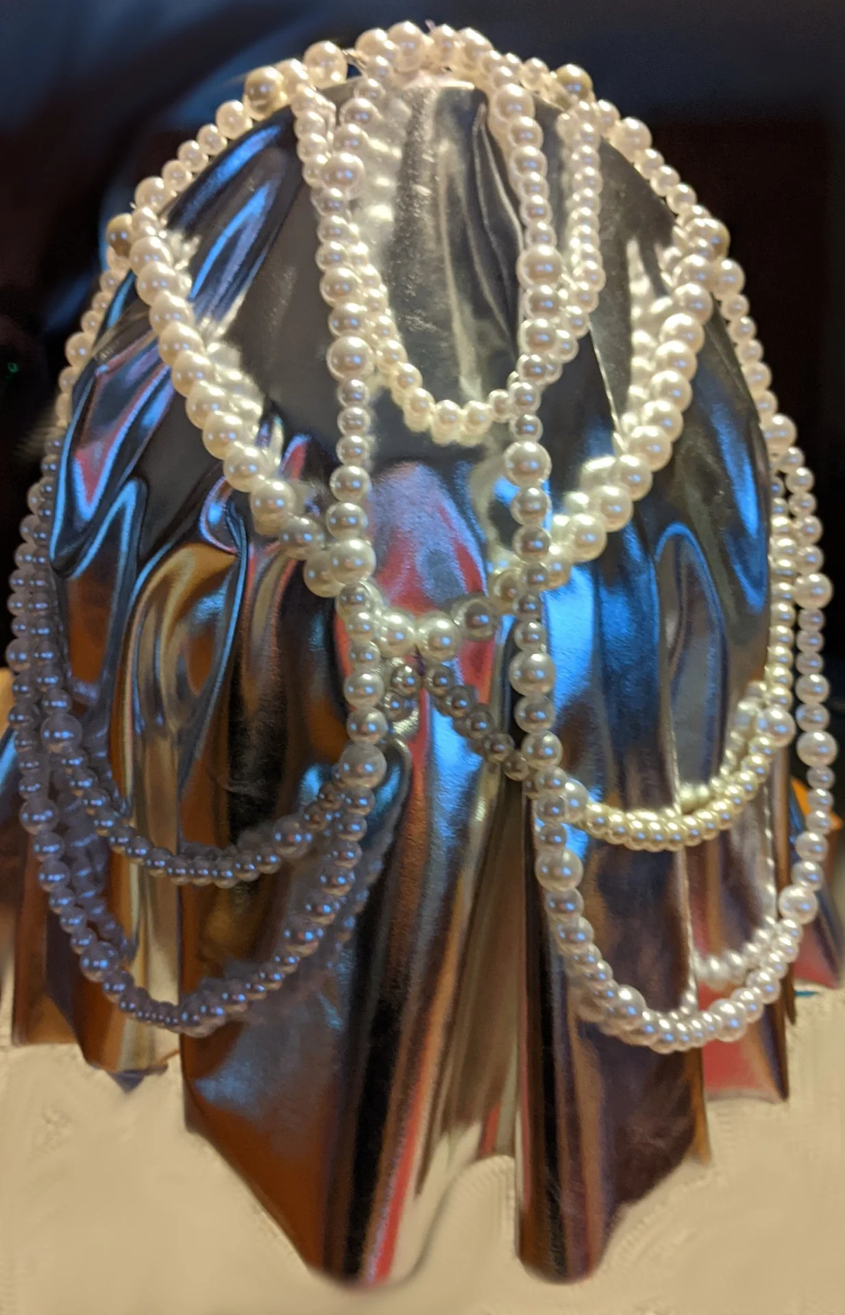 Cat Creature Costume: Back View 