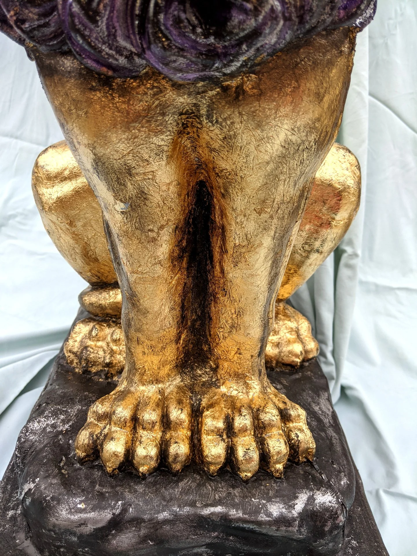 Detailed Image of Lion Paws