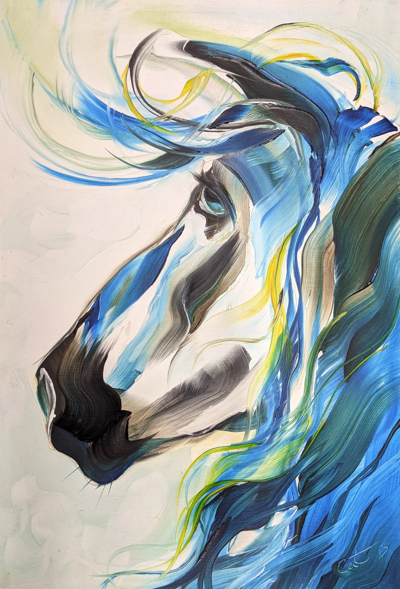 Ribbons of color  CASPER.jpg