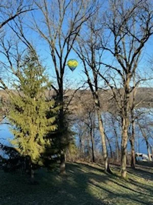 Balloon in the sky of our front yard, April 2024.