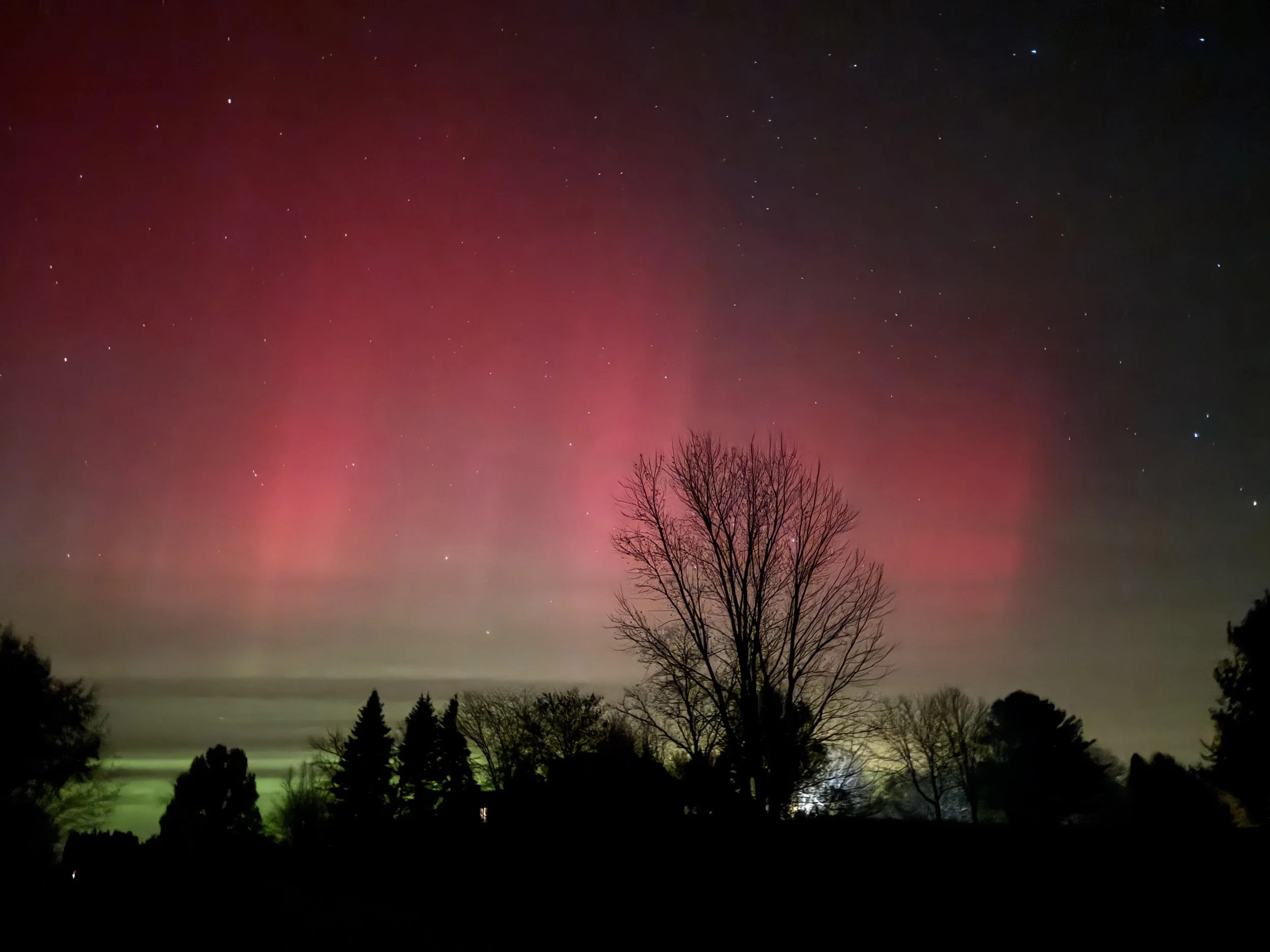 Holiday Wish Comes True