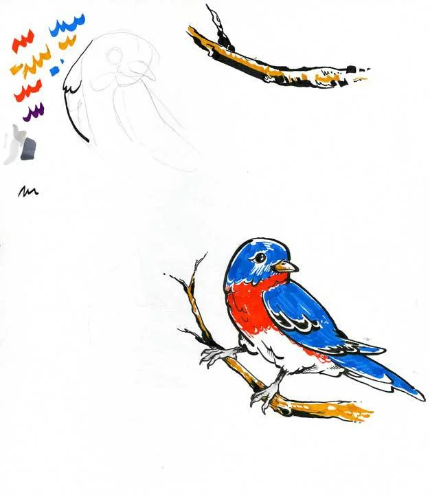 KImBird.jpg