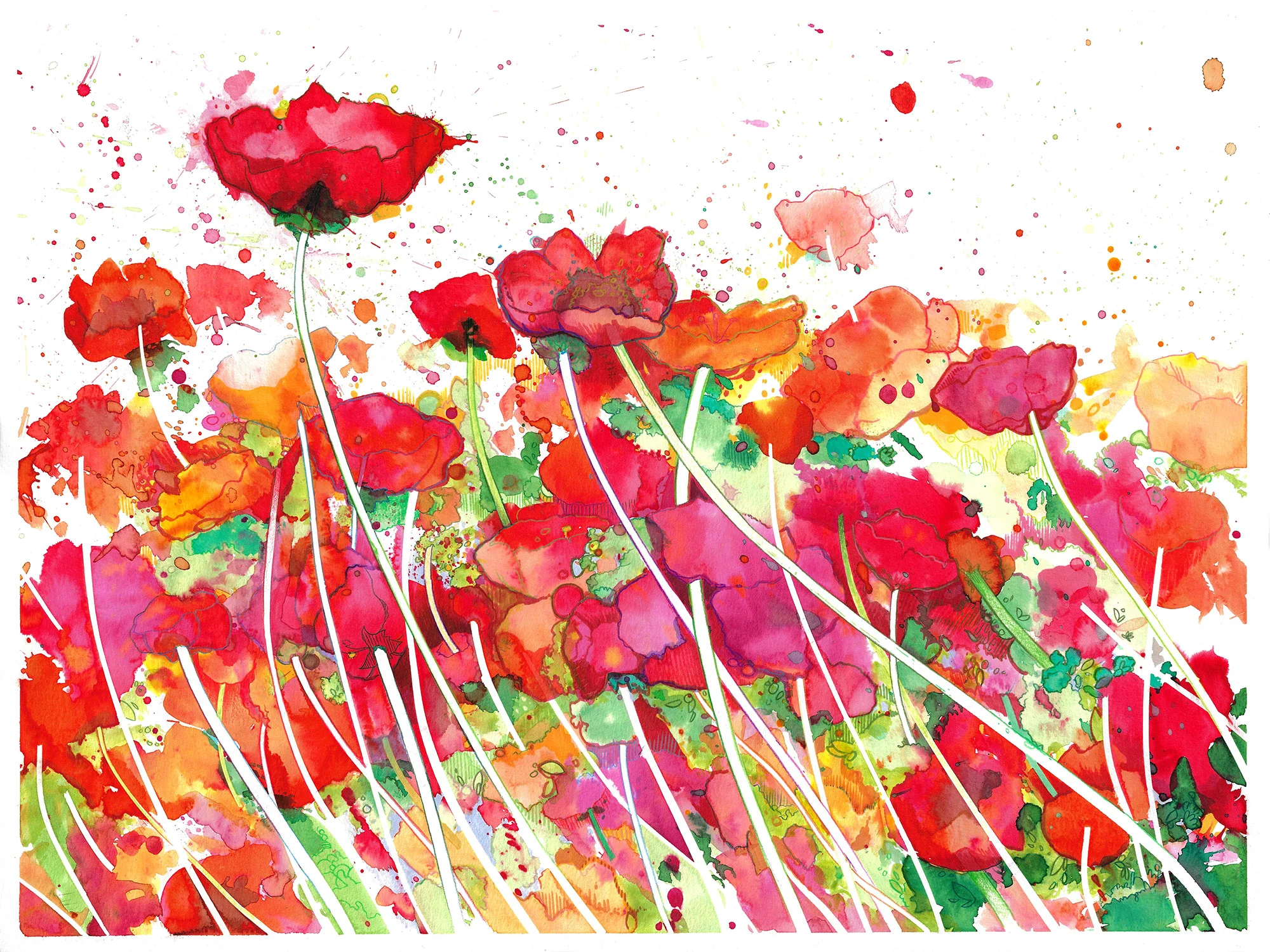 Poppy Sway