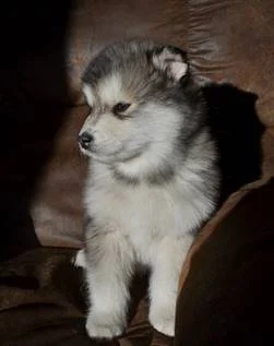 Starting Fresh - Again - By Introducing Conall