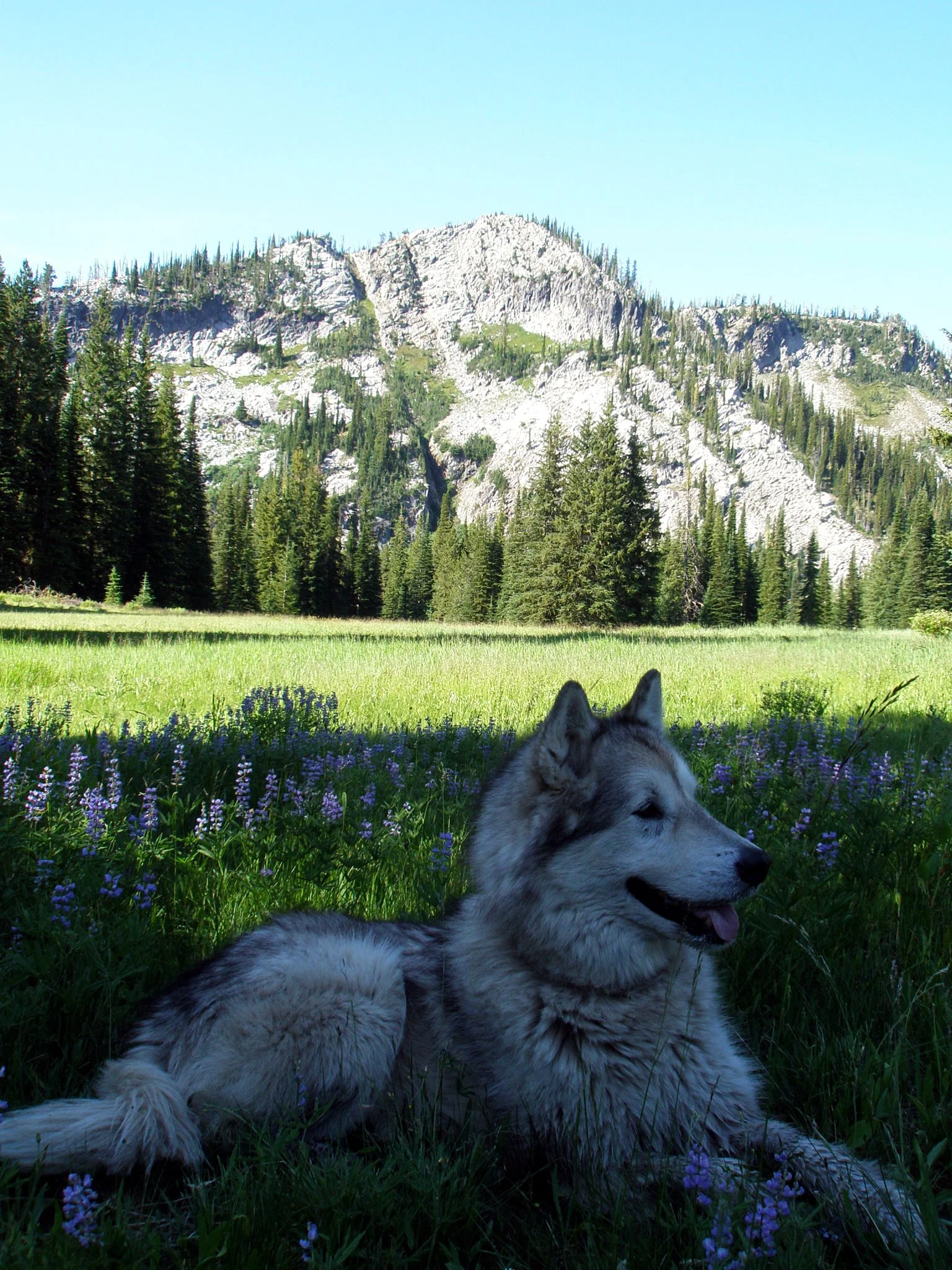 Remembering Maia