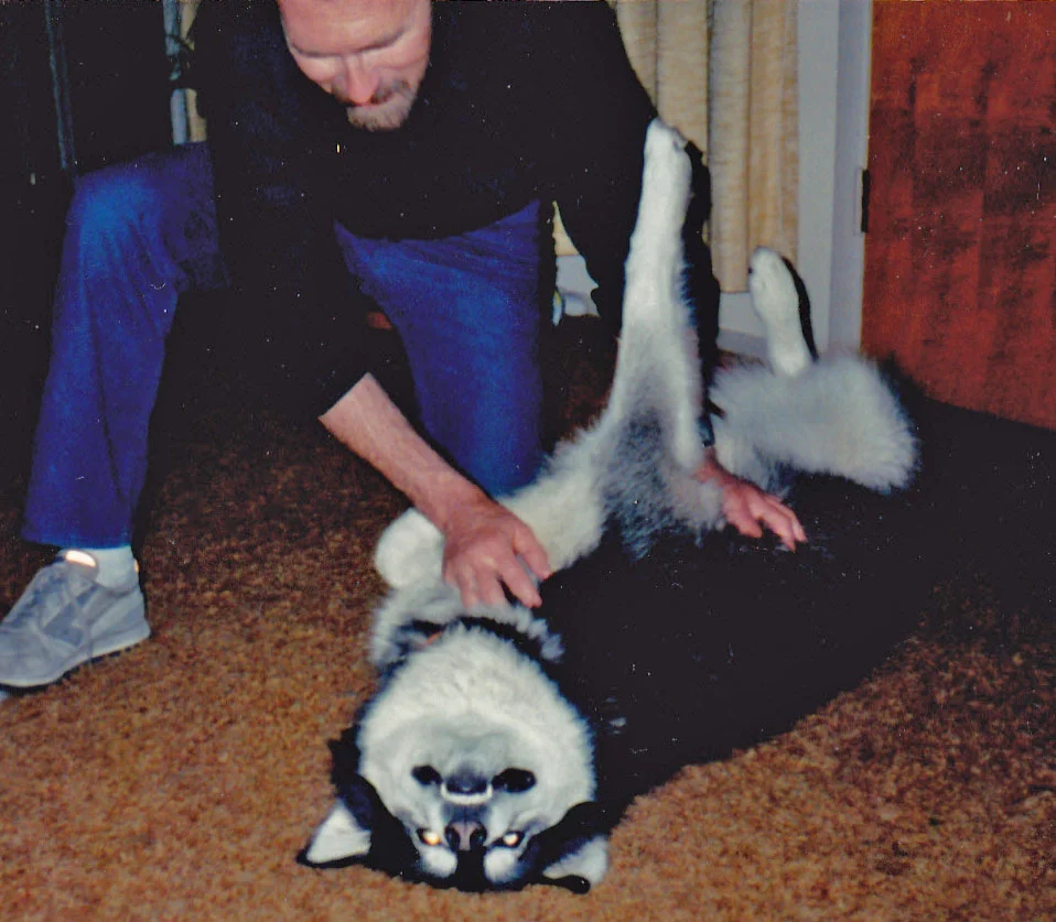 Ron passed the Malamute test; my dog Opus clearly loved him.