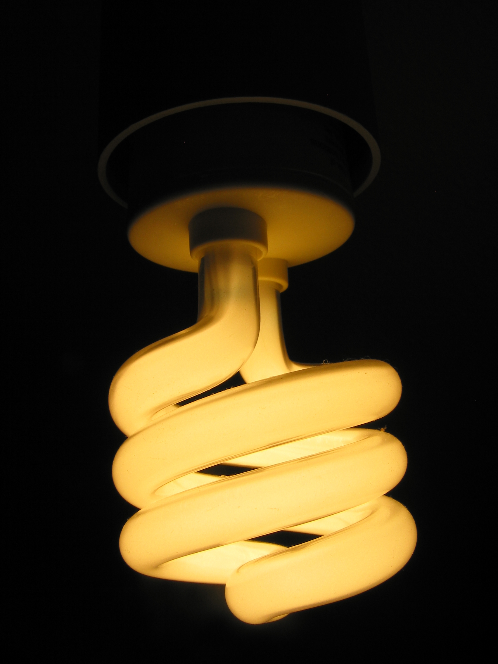 Lightbult