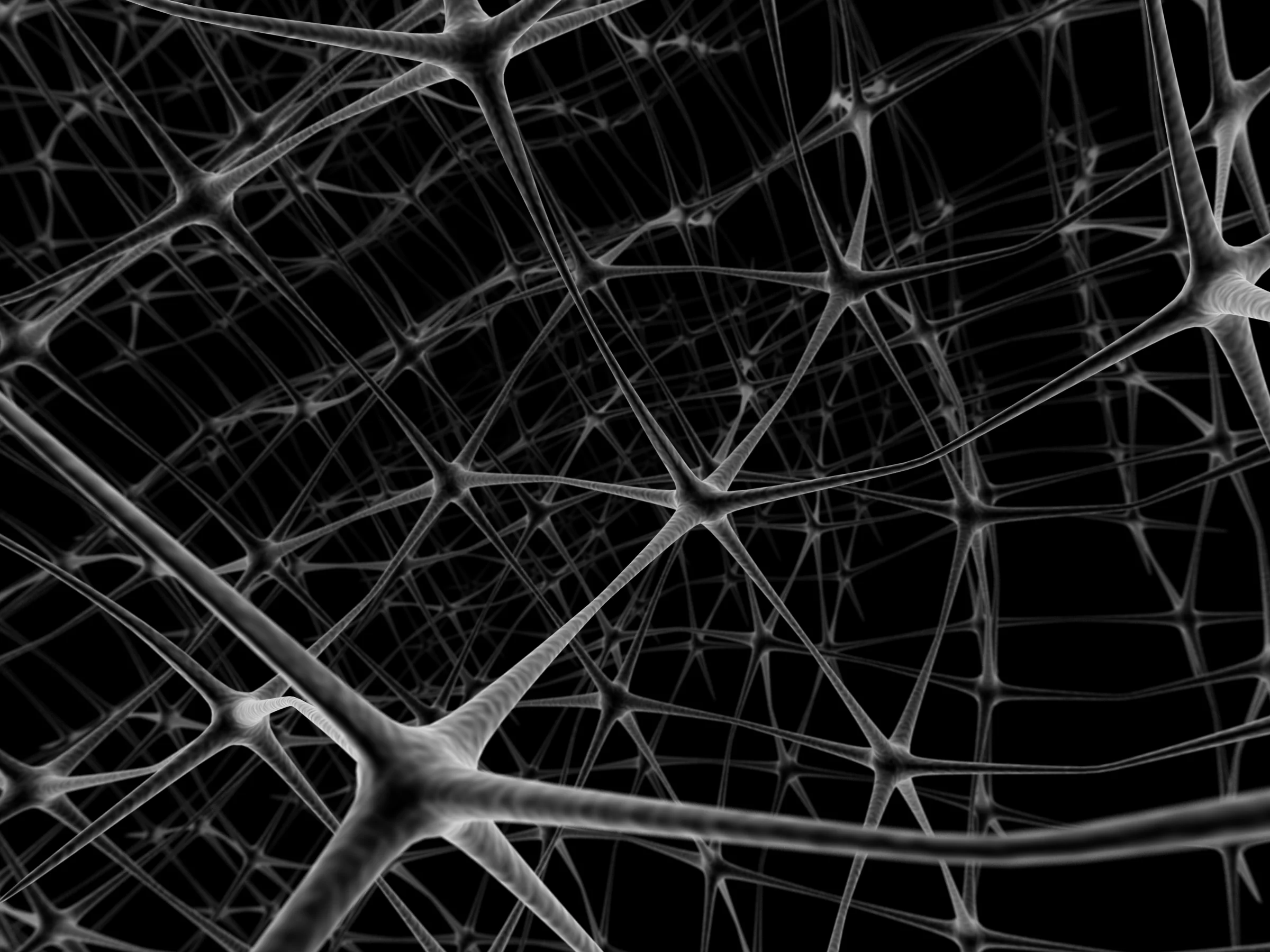 Neural Network.jpg