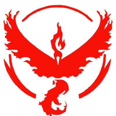 We Are in Team Valor. There are 3 team you can chose from Team Valor , Team Instinct , and Team Mystic