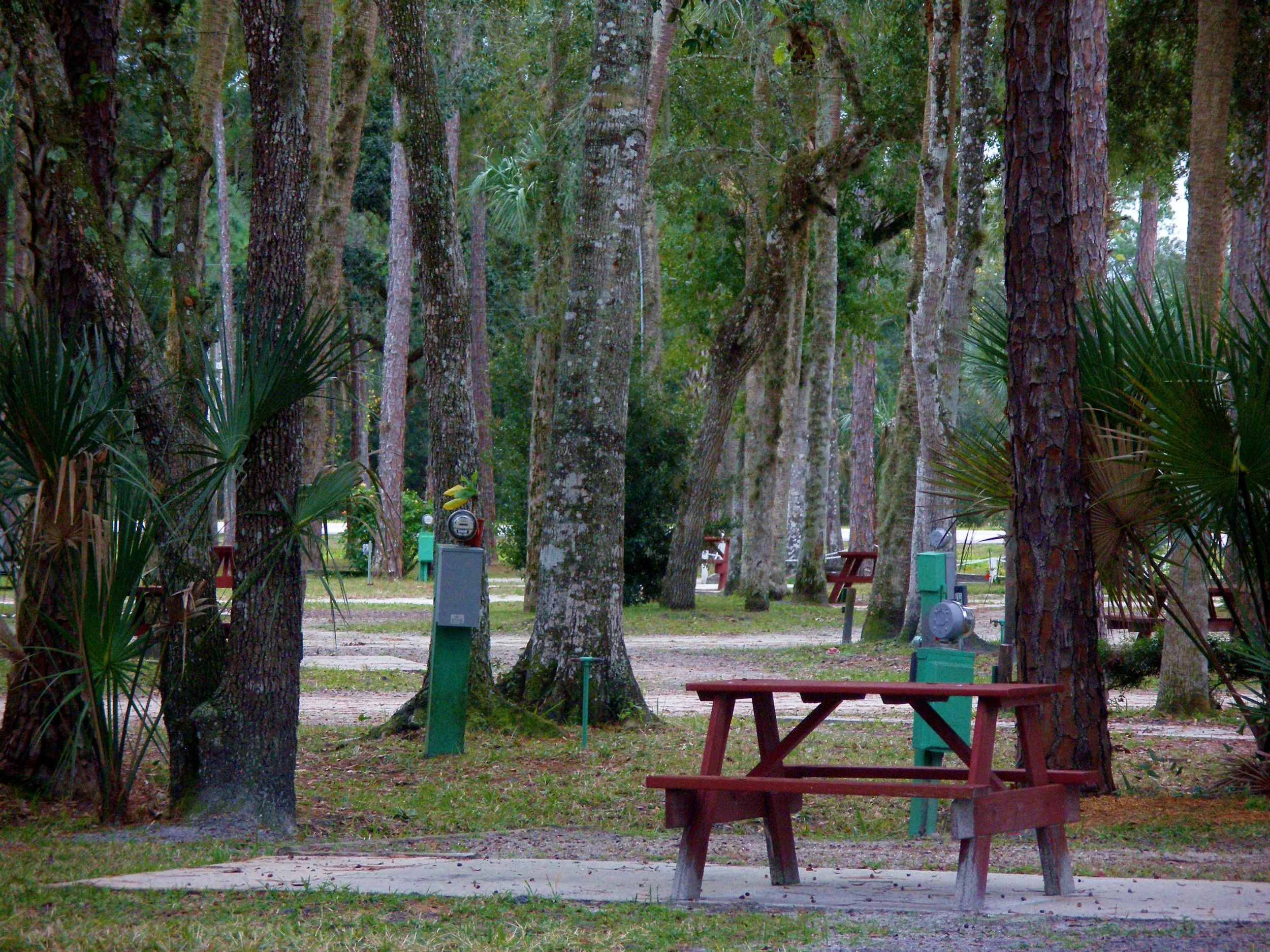 CLOSE UP SPACE VIEW.JPG