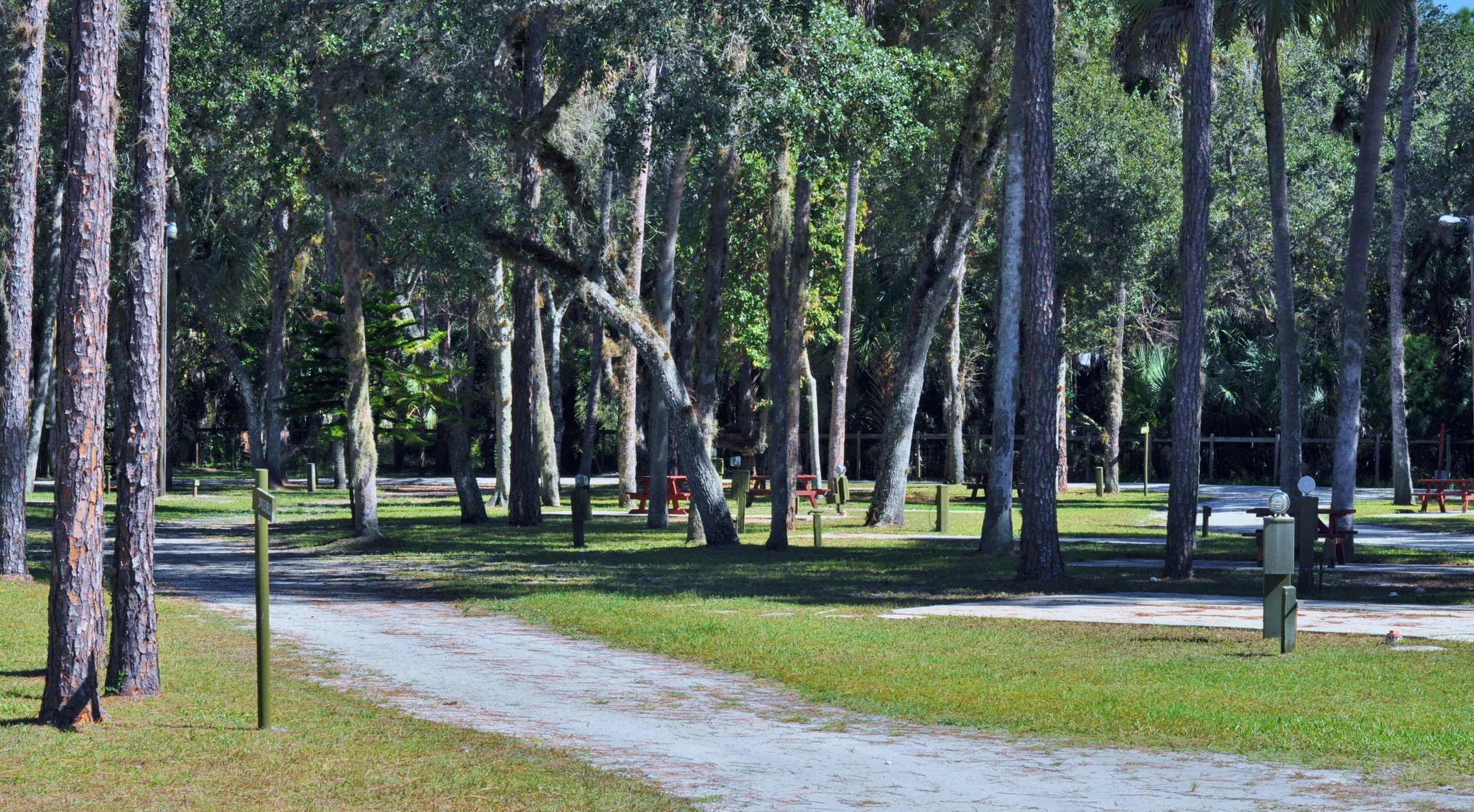 SPACES VIEWS ROAD.JPG