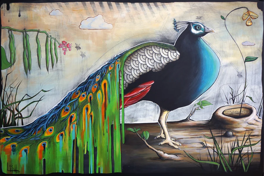 Peacock.jpg