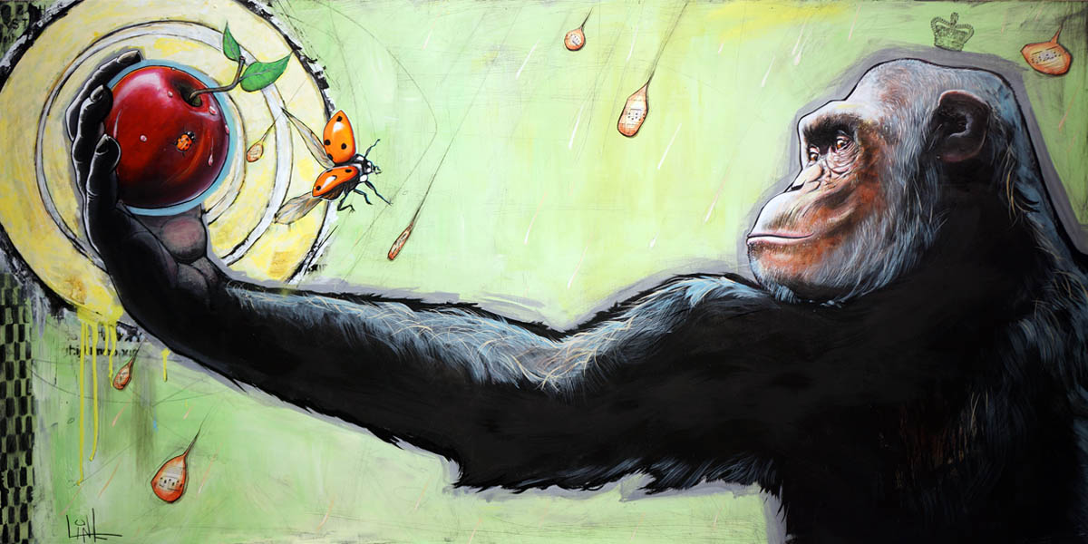 Chimpanzee