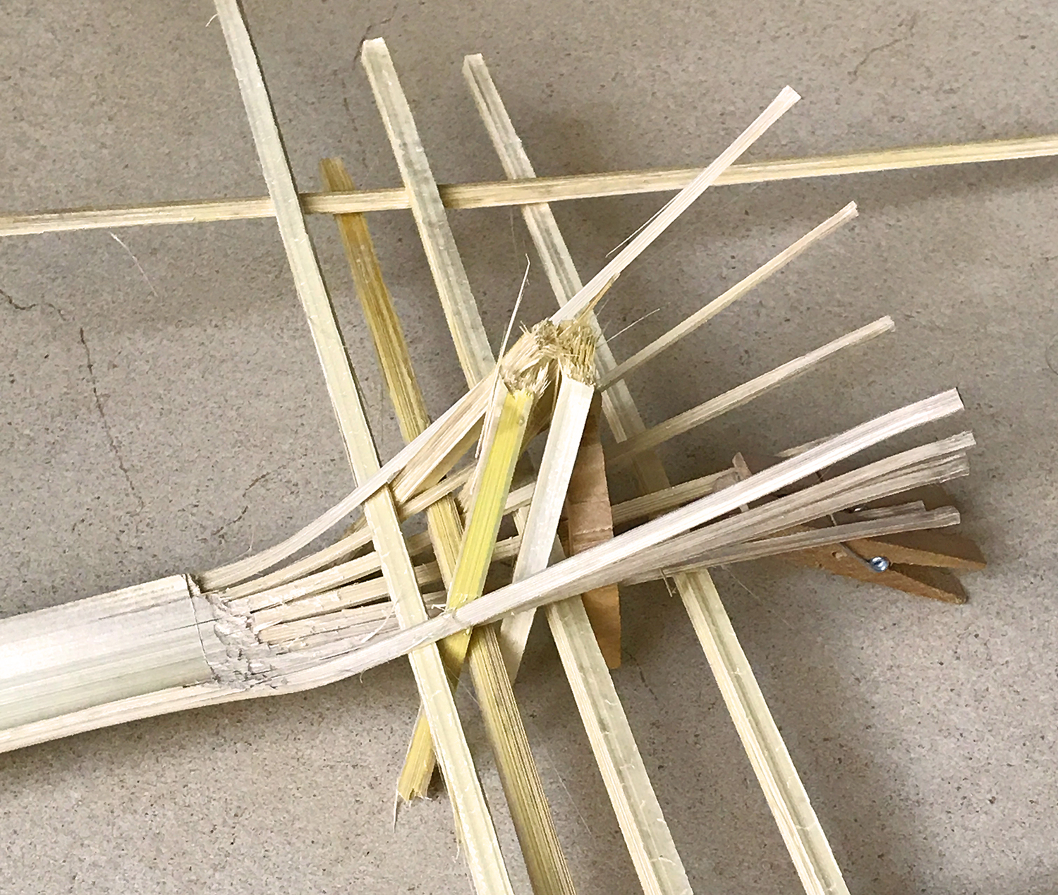 Bamboo forming experiment in the hotel room
