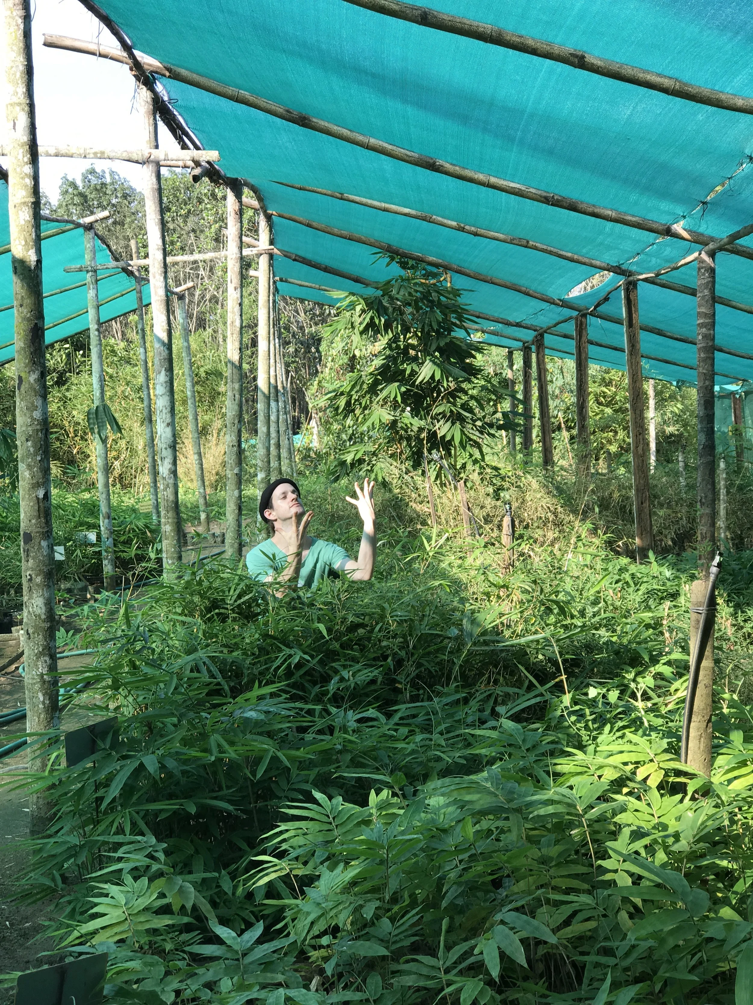 A week in the hills of Kerala