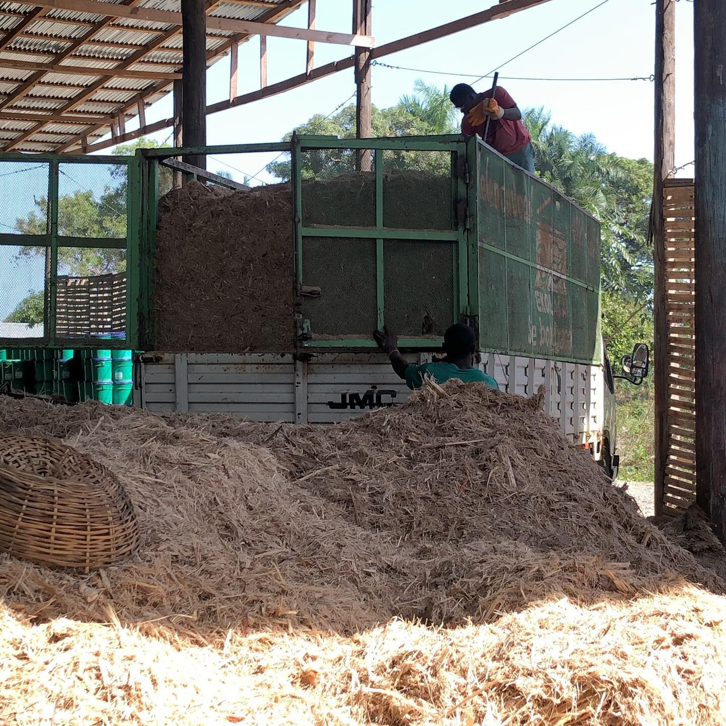 The production of the cover material for SOIL&rsquo;s mobile sanitation service is a long and labour-intensive work: The sugar cane from the local distillery has to be sieved, ground, mixed with compost and filled in the buckets for the customers.
.
