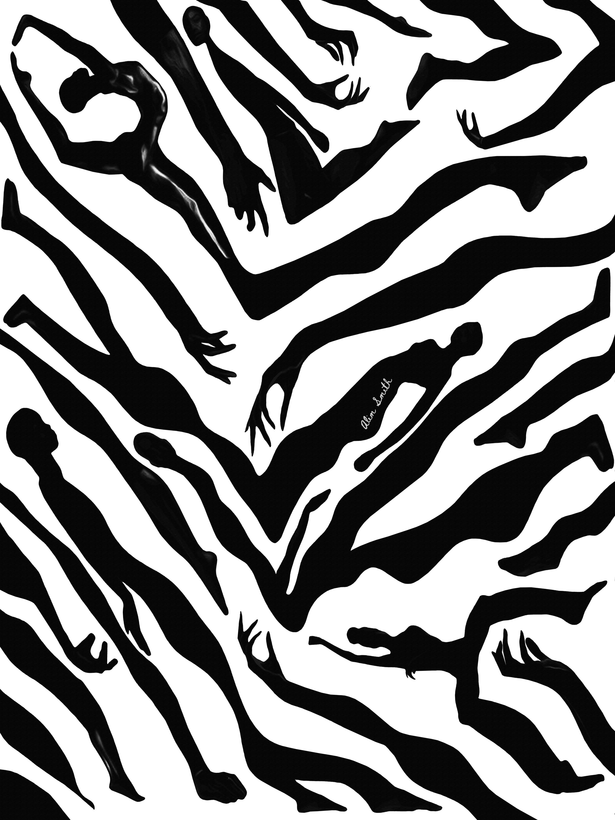 Zebruh(18x24).jpg
