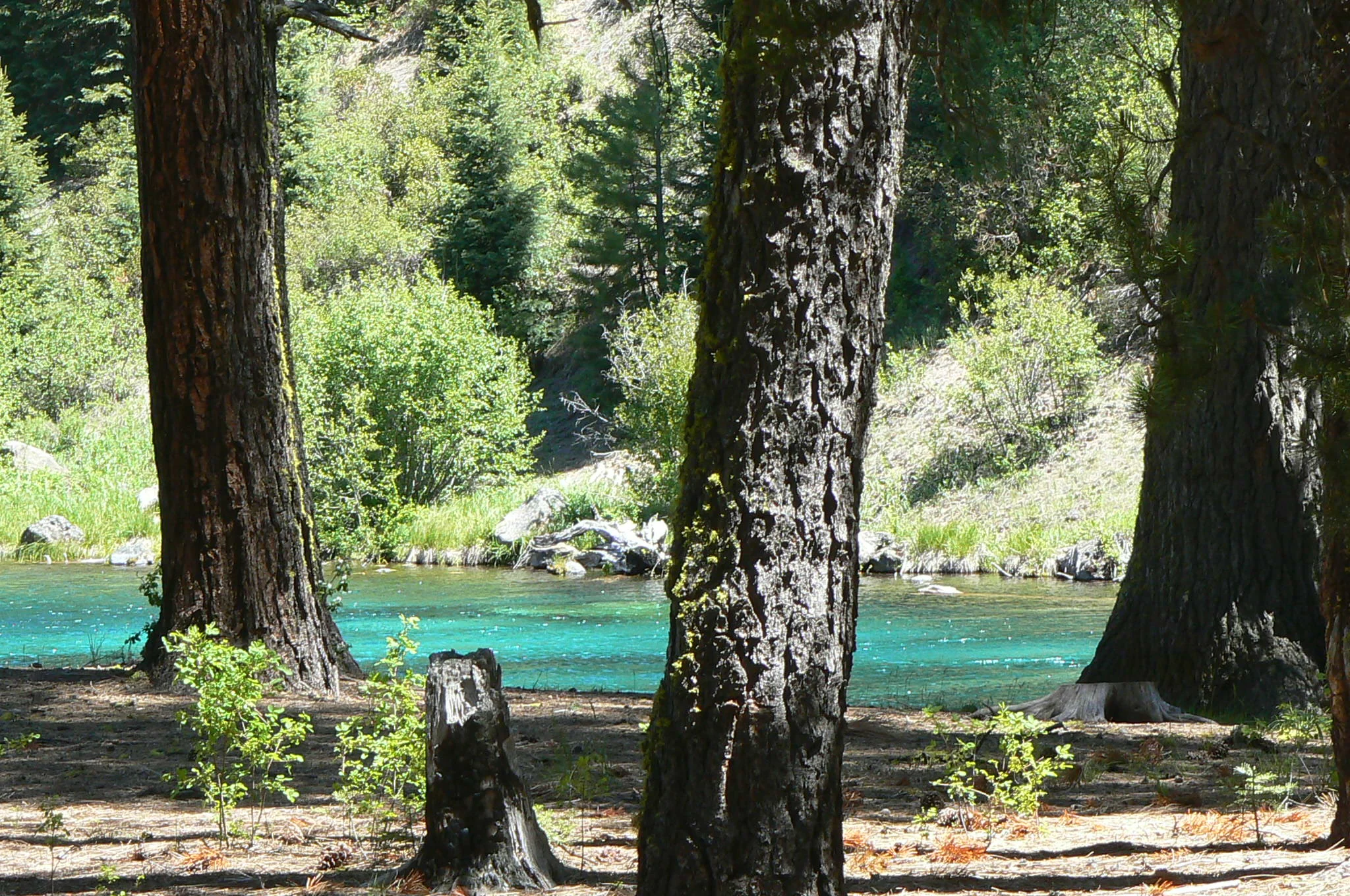 Jackson F. Kimball State Park