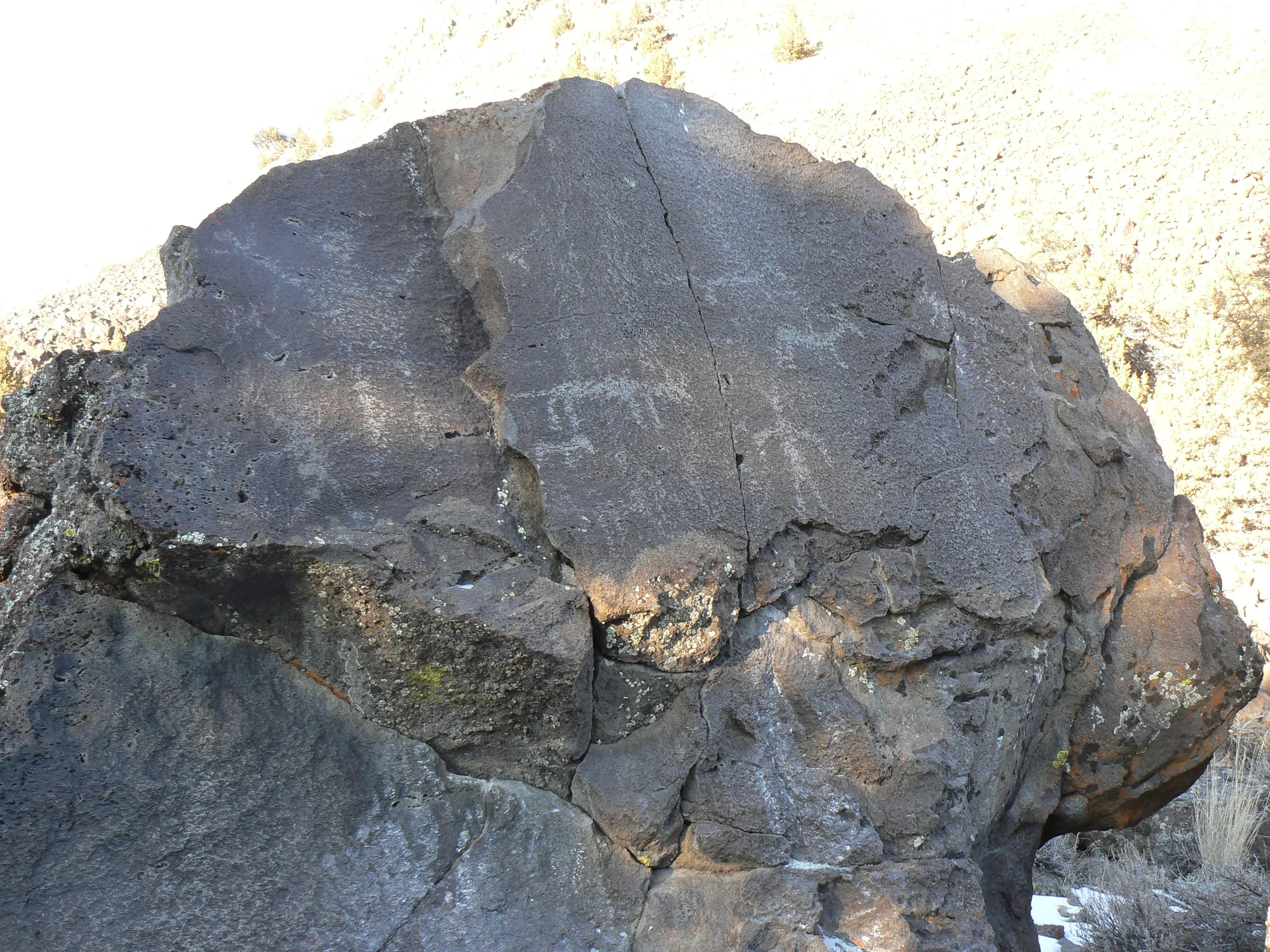 P1000224.JPG