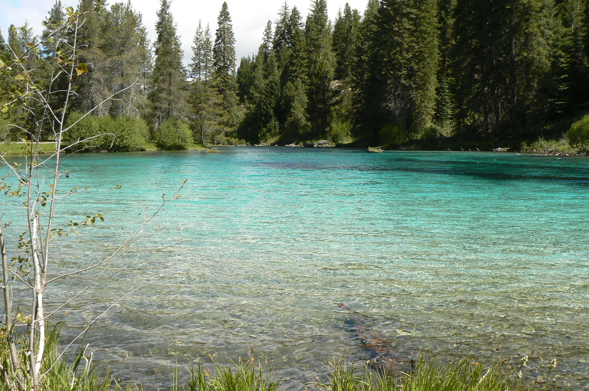 P1000742.JPG