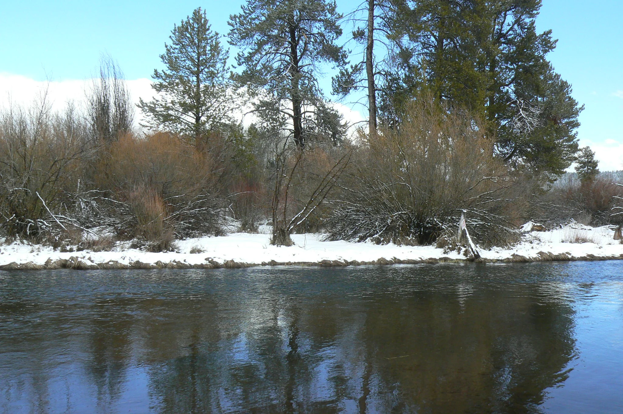 P1000837.JPG