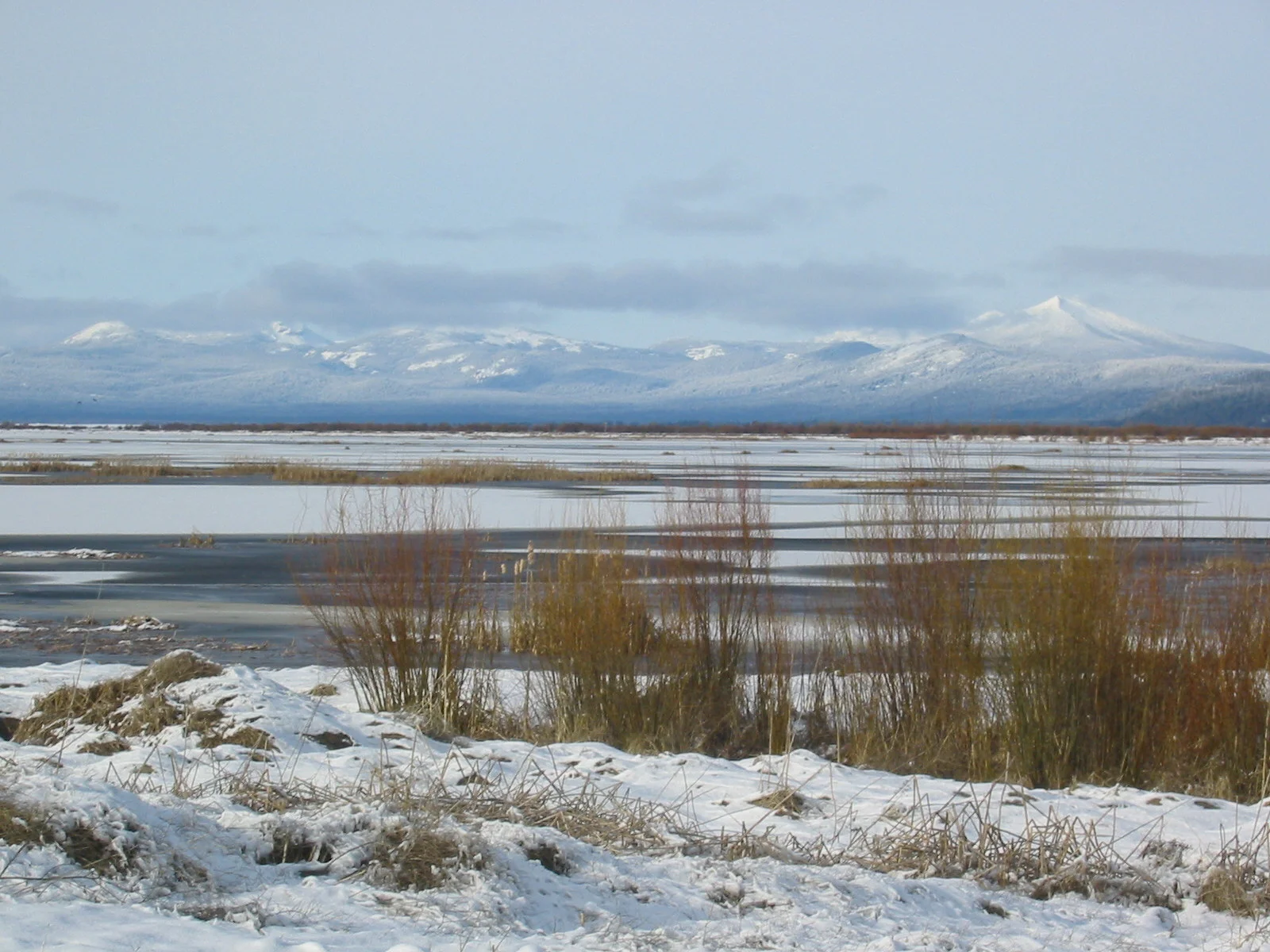 WetlandsNorth011506.jpg