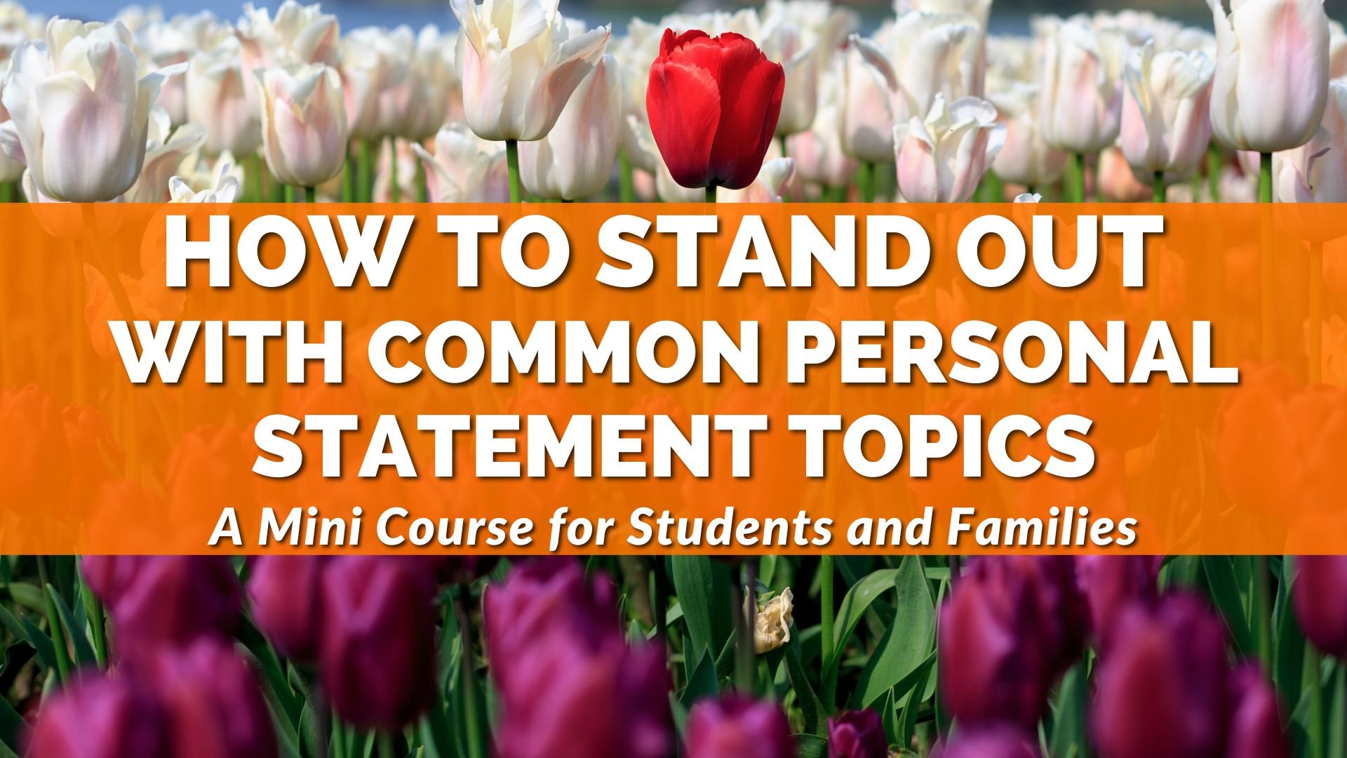 Stand Out Common Topics Students Personal Statement