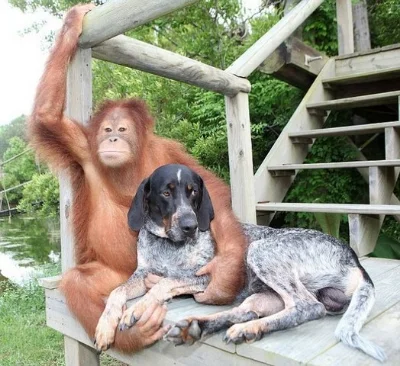 Best buds.