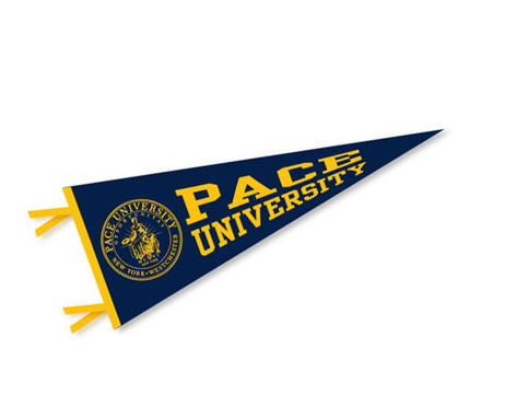 Pace university.jpg