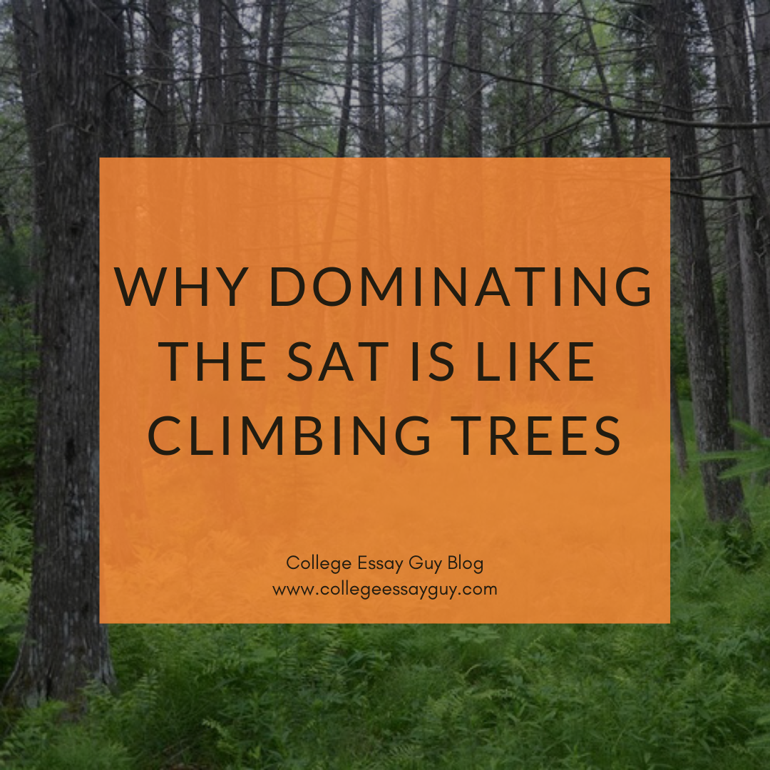 Saturday climb essay 05 picture
