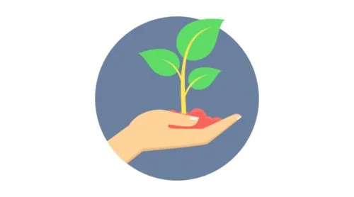 plant.jpg