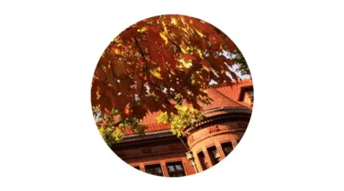 leaves.jpg