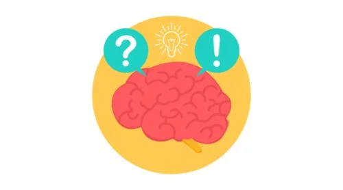 brain.jpg