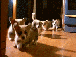 recommendation+letter+for+a+student-min.gif