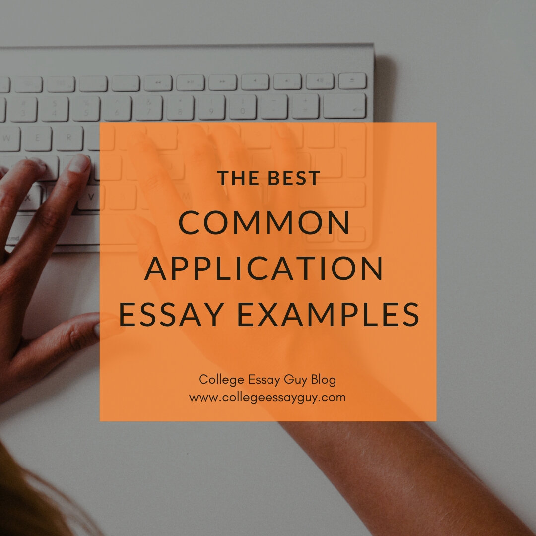 Common+App+Essay+Examples,+common+application+examples,+common+app+prompts.jpeg