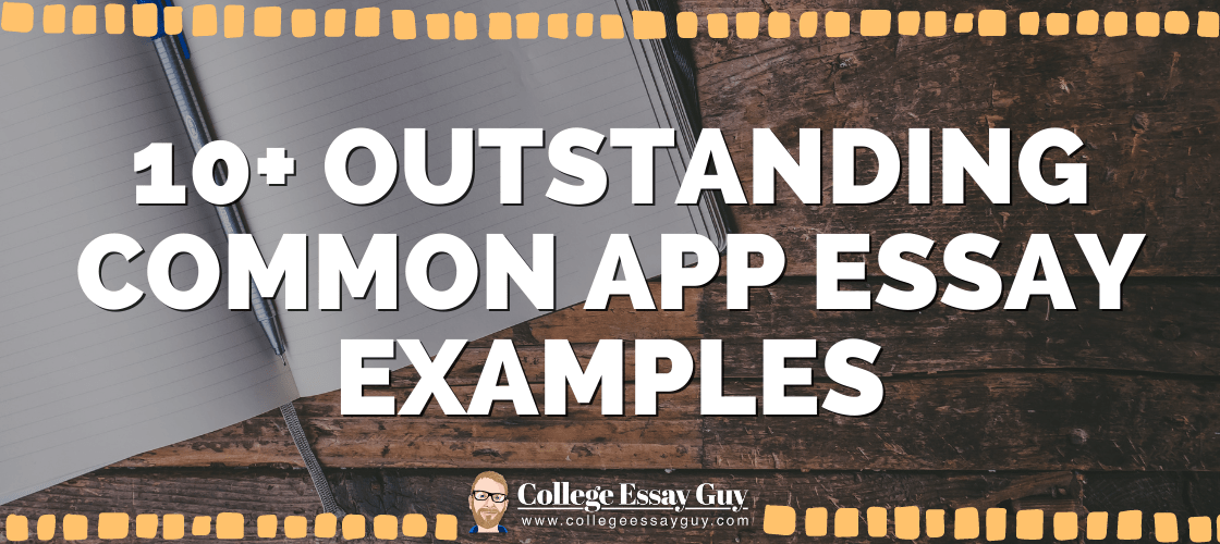 COMMON APP ESSAY 1 EXAMPLES visual data 8