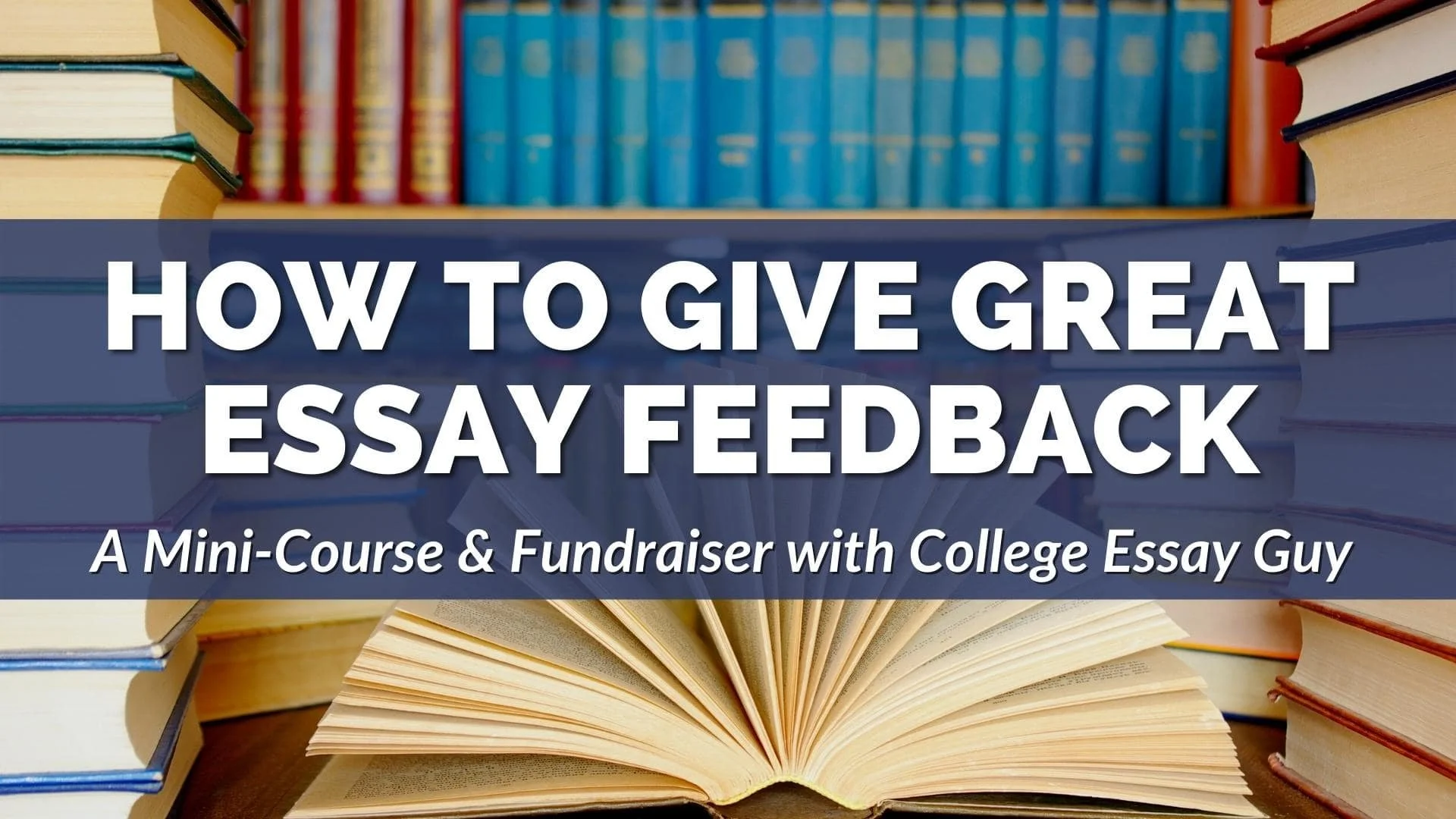 college essay guy counselor resources